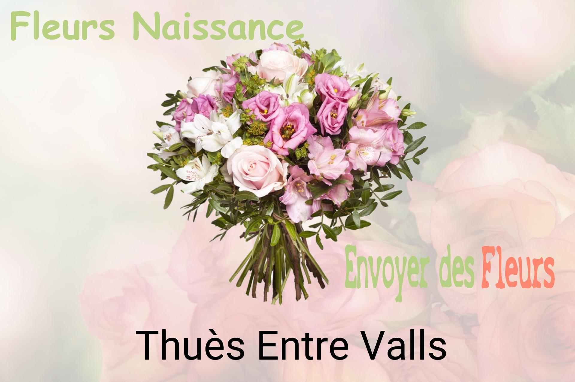 Bouquet de fleurs de naissance livré à Thuès-Entre-Valls
